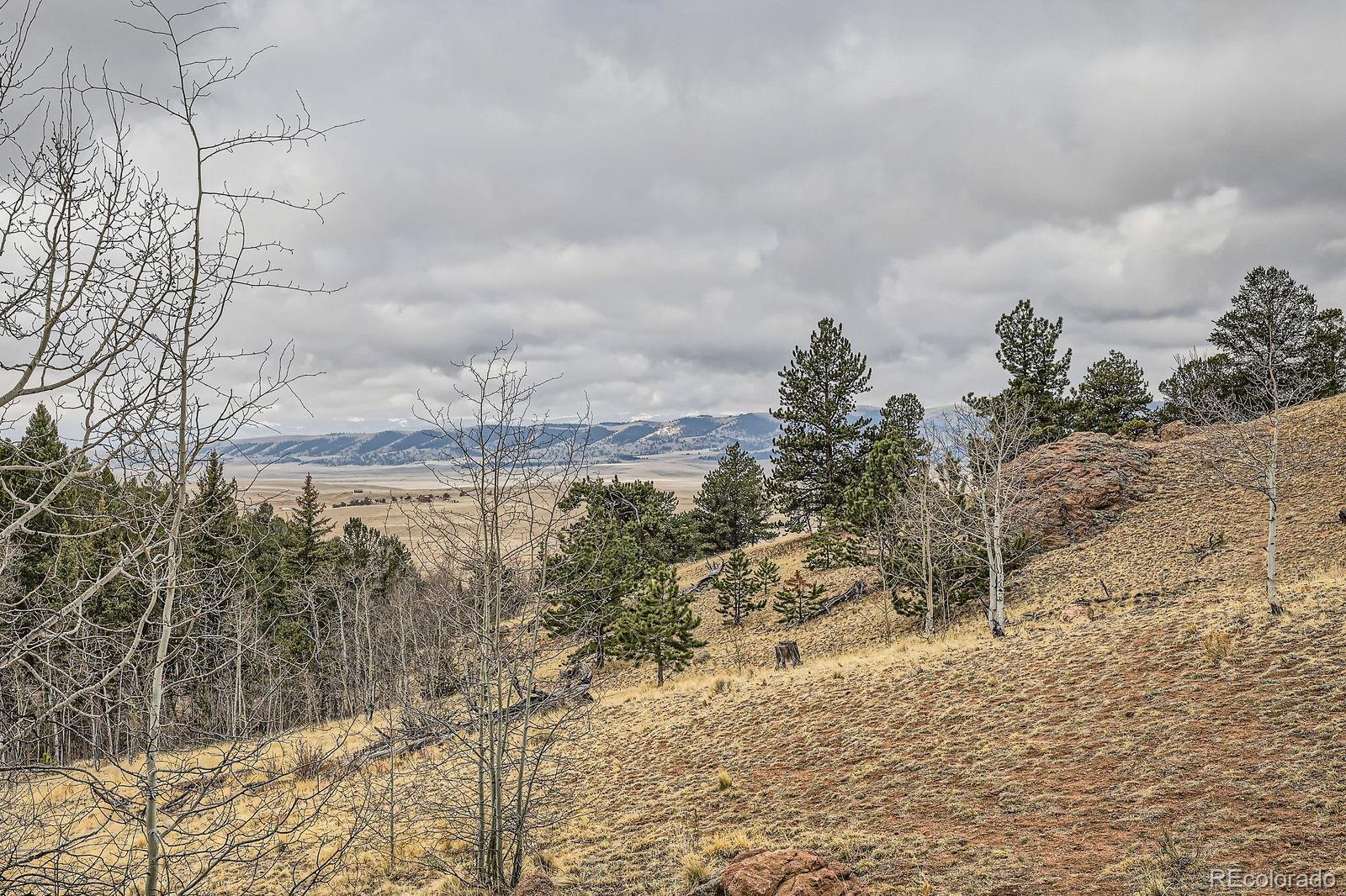MLS Image #26 for 1403  caracara lane,jefferson, Colorado