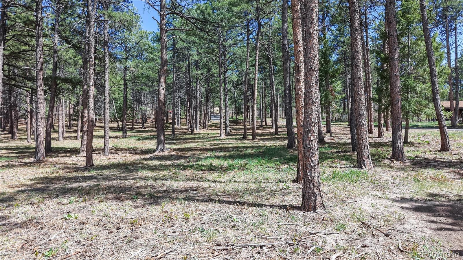 MLS Image #45 for 12655  greenland acres road,larkspur, Colorado