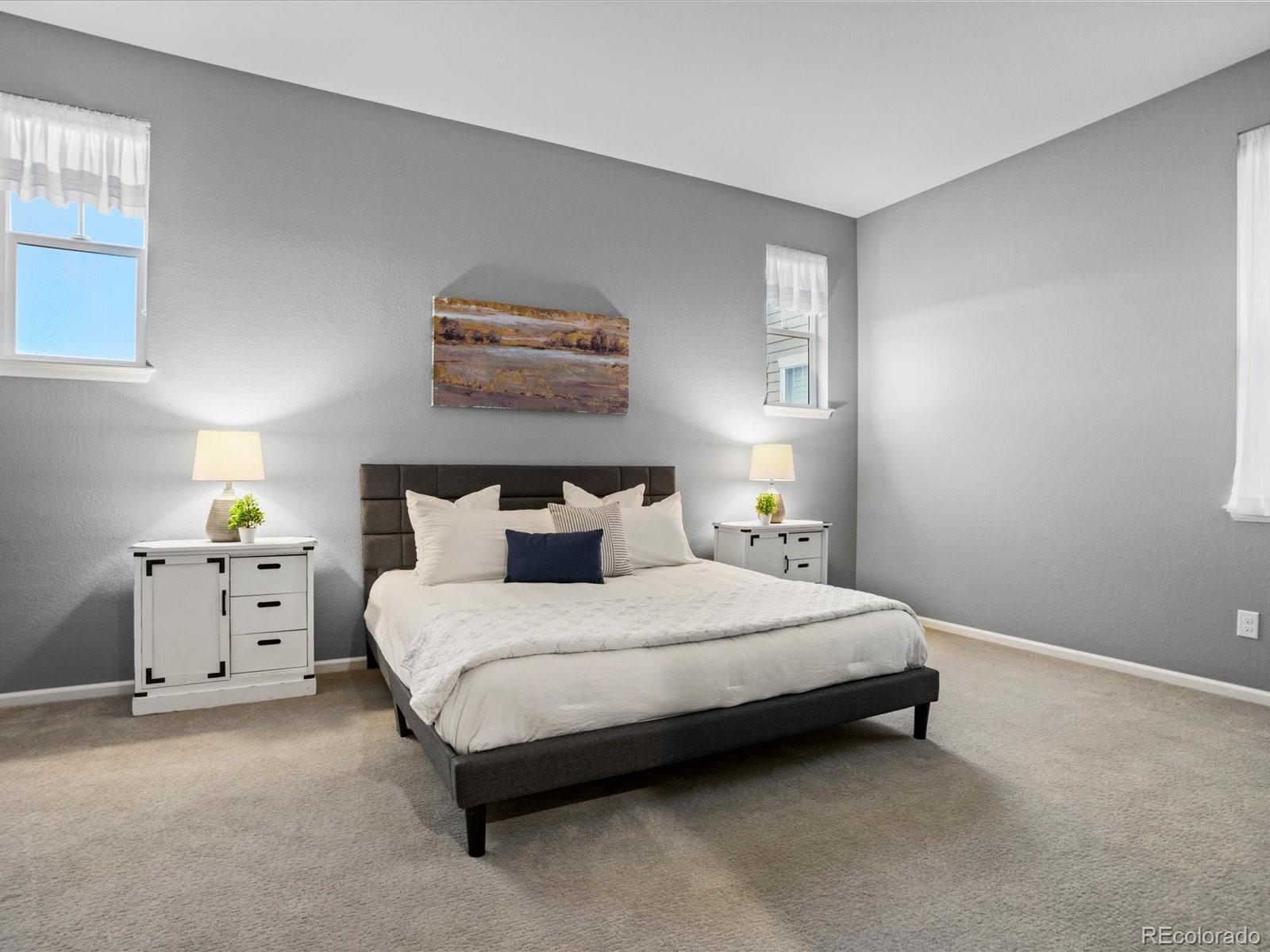 MLS Image #10 for 2351  lassen lane,castle rock, Colorado