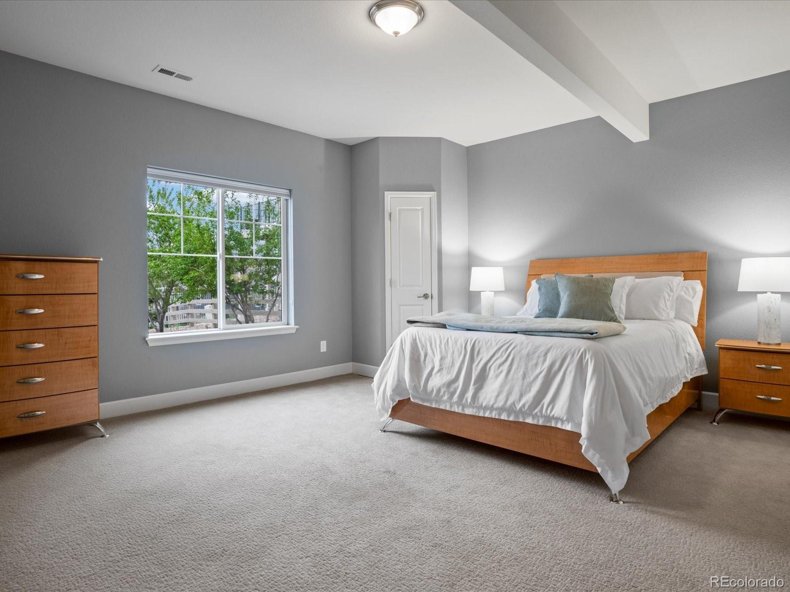 MLS Image #21 for 2351  lassen lane,castle rock, Colorado