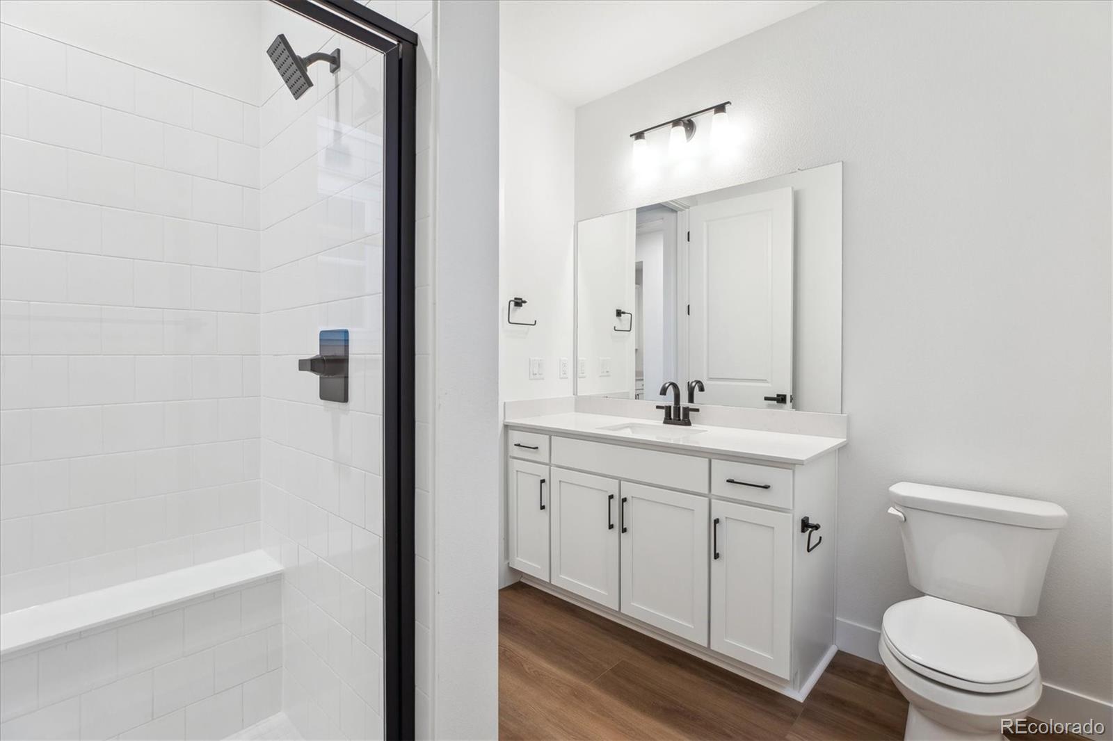 MLS Image #16 for 8601  yellowcress street,littleton, Colorado
