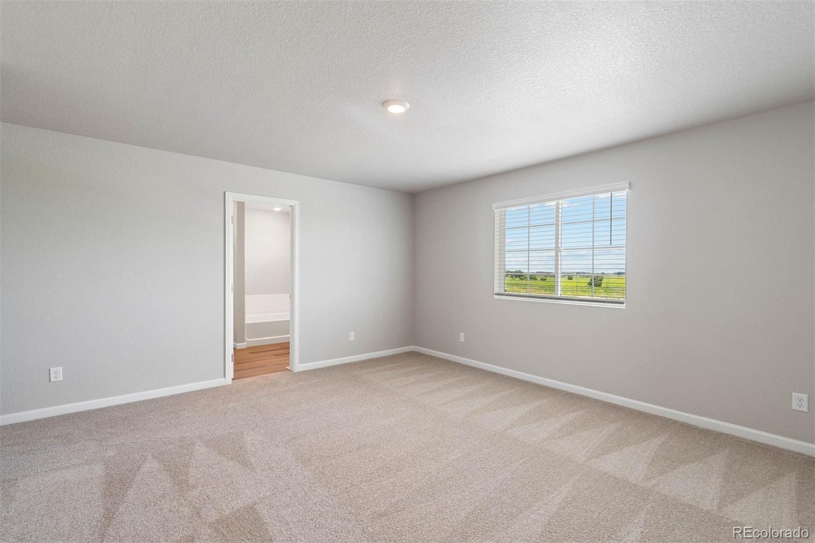 MLS Image #3 for 7322  green river avenue,frederick, Colorado