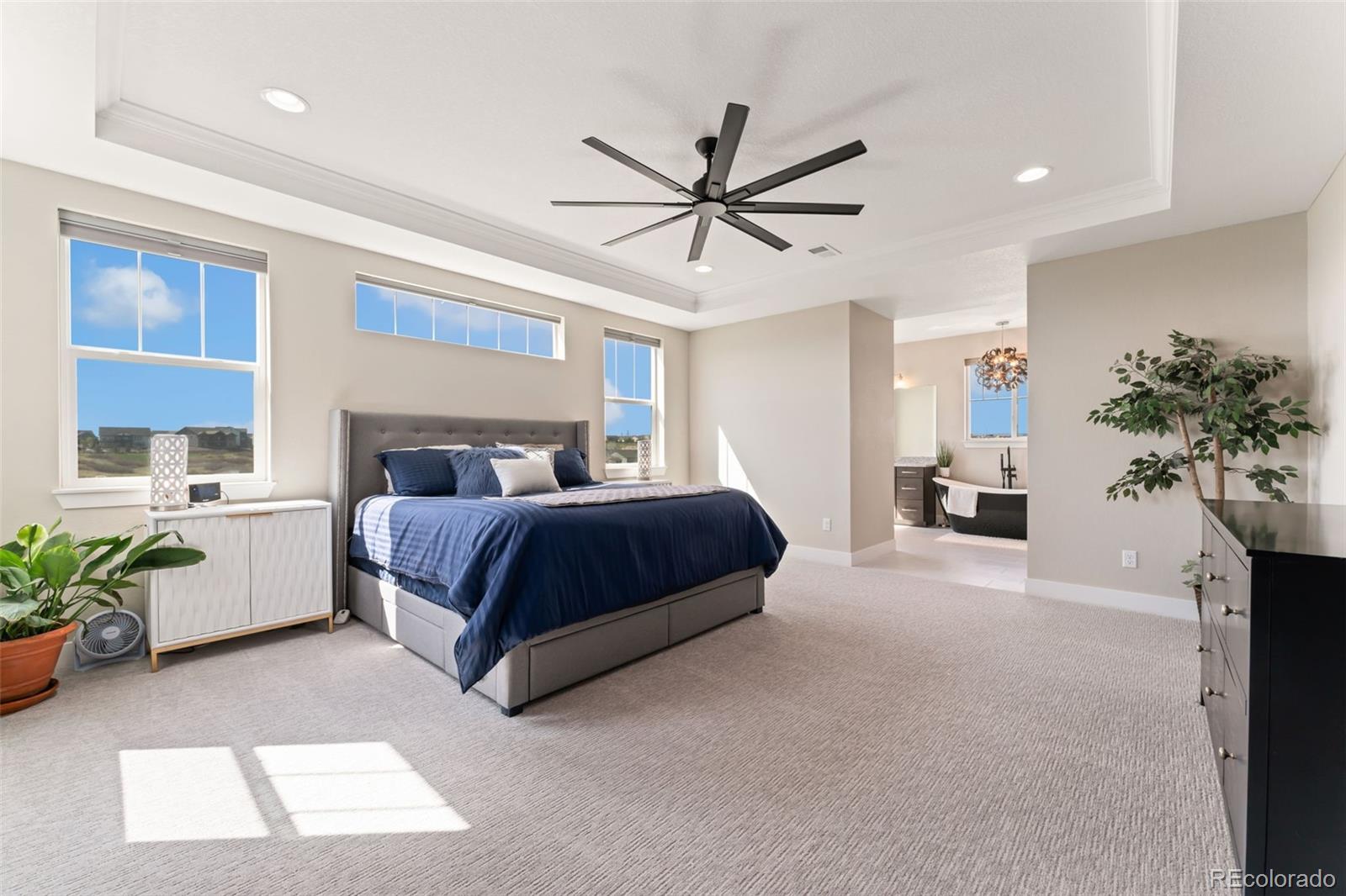 MLS Image #25 for 3128  bivouac point,castle rock, Colorado
