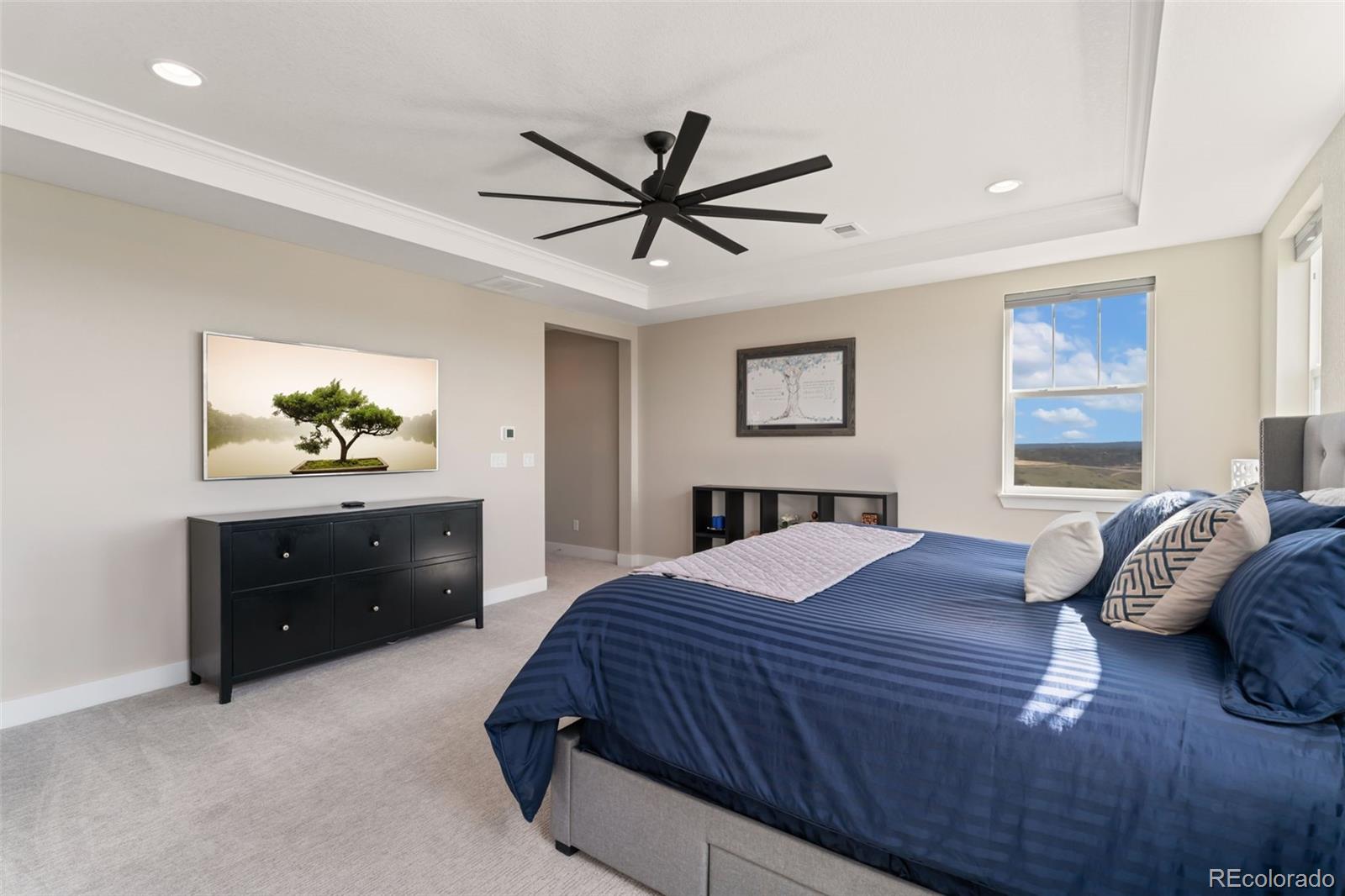 MLS Image #26 for 3128  bivouac point,castle rock, Colorado