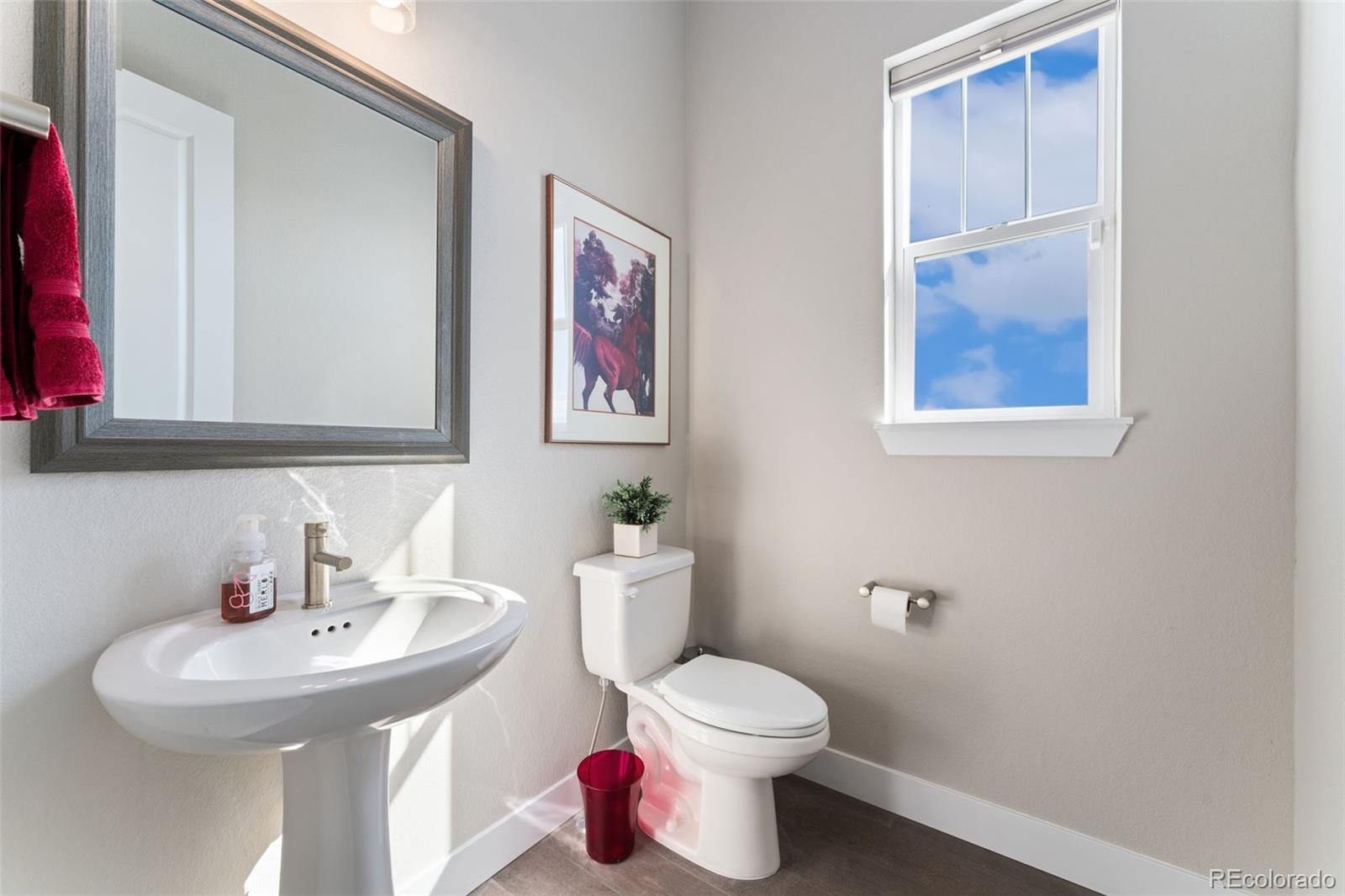 MLS Image #5 for 3128  bivouac point,castle rock, Colorado
