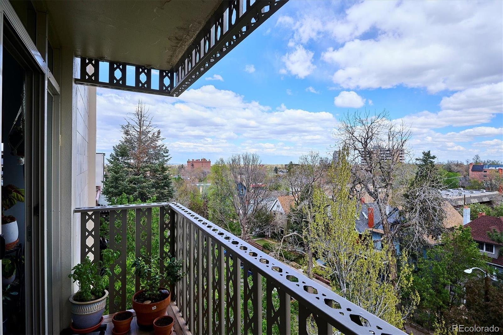 MLS Image #19 for 1223  race street,denver, Colorado