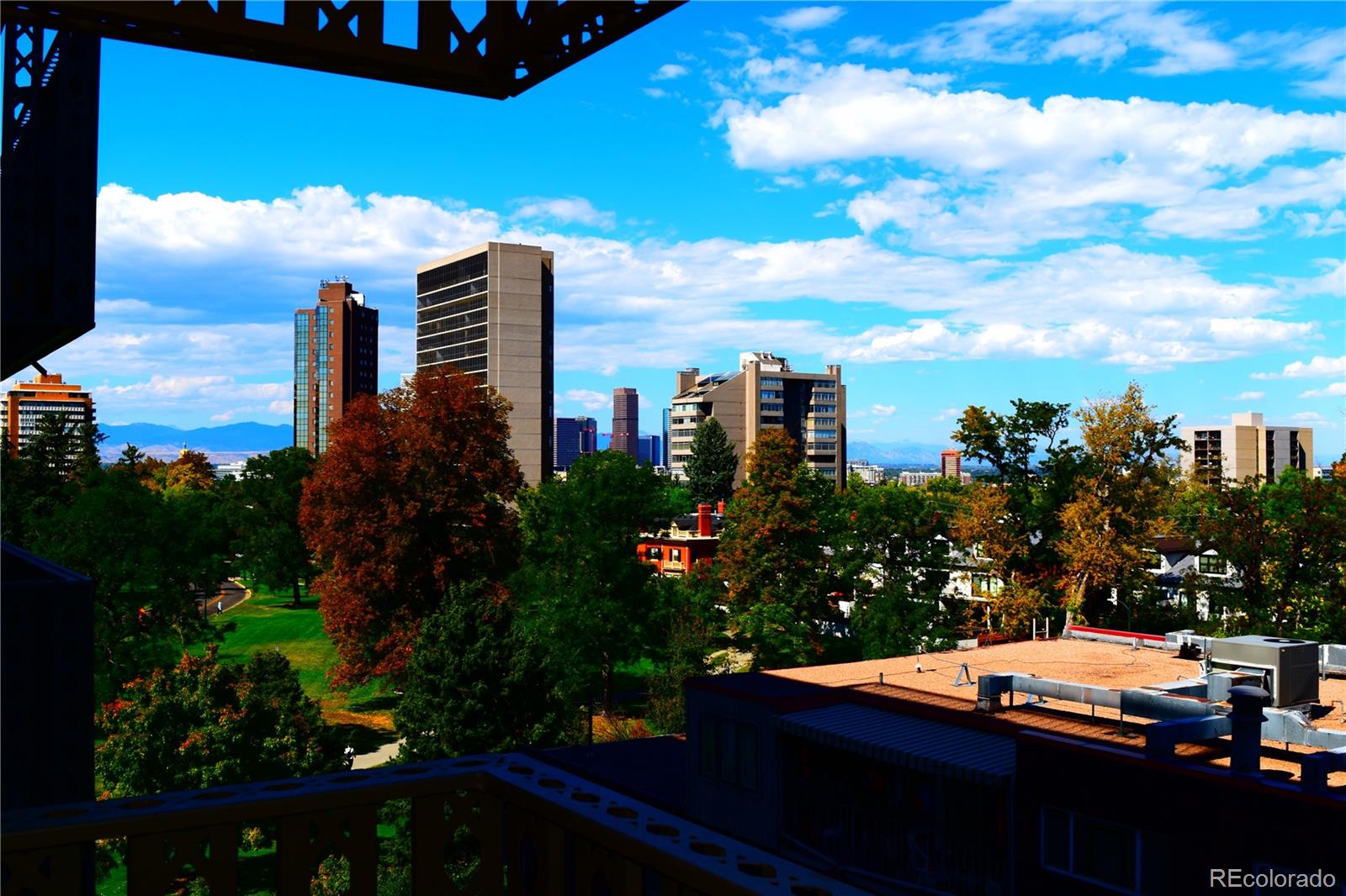 MLS Image #29 for 1223  race street,denver, Colorado
