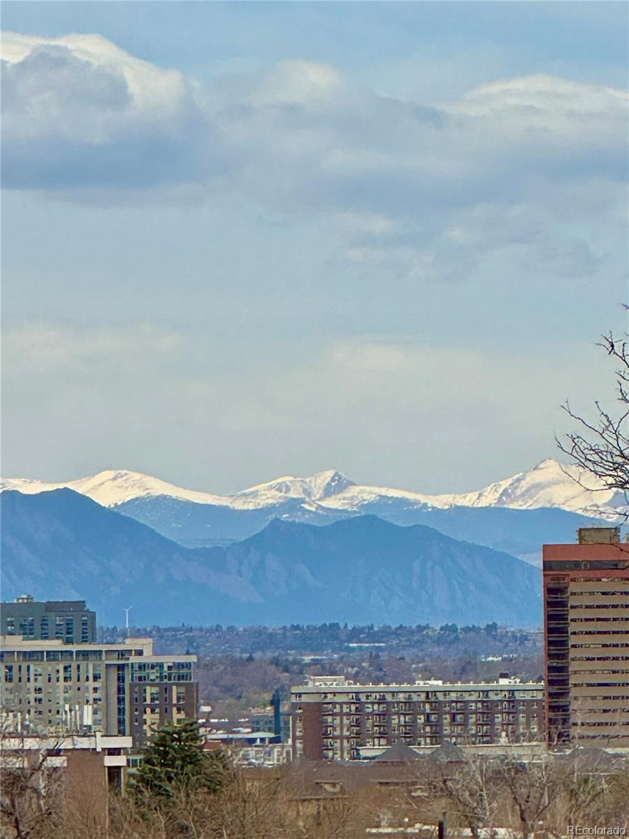 MLS Image #32 for 1223  race street,denver, Colorado