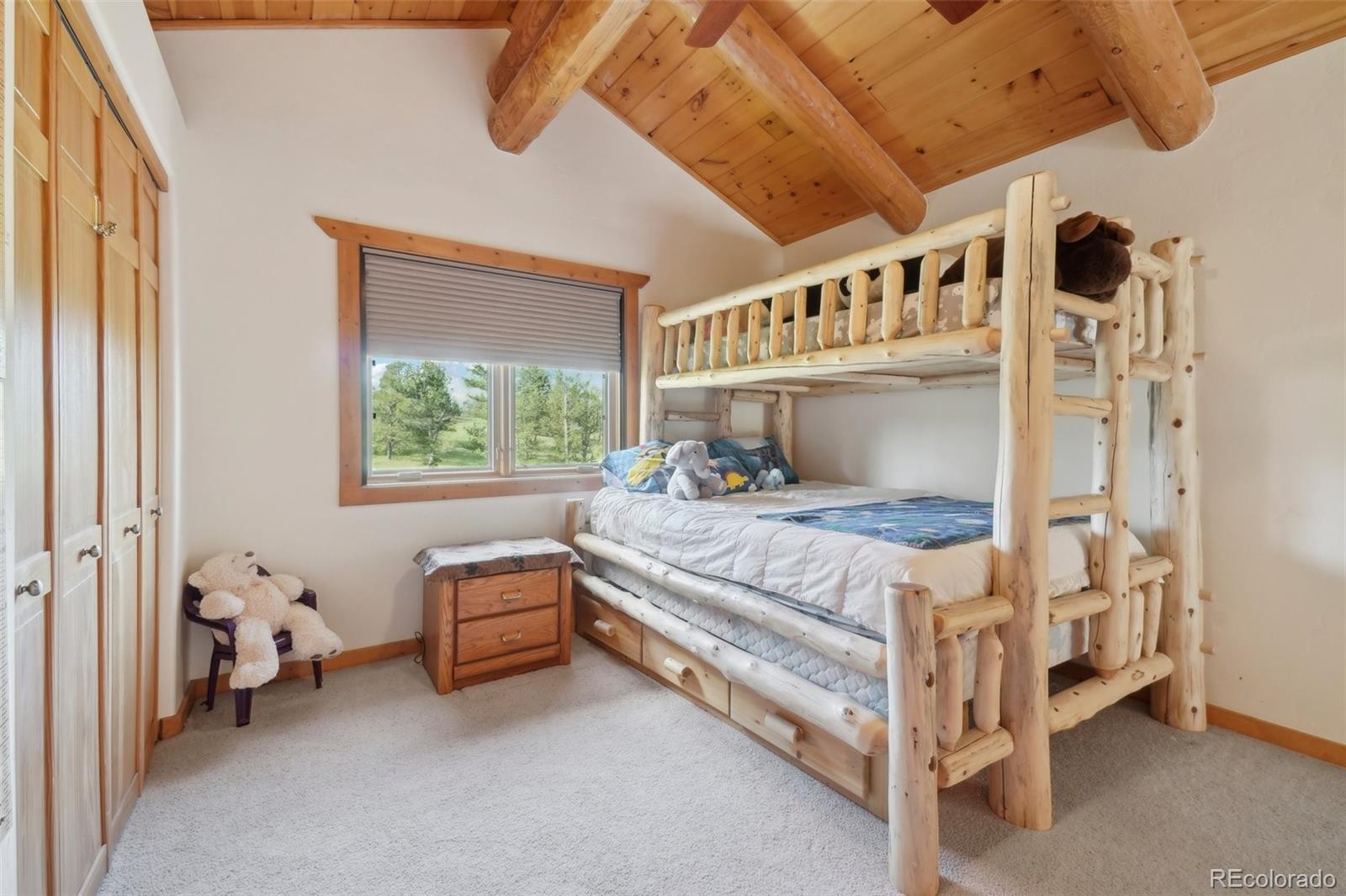 MLS Image #28 for 3557  palmer ridge drive,parker, Colorado