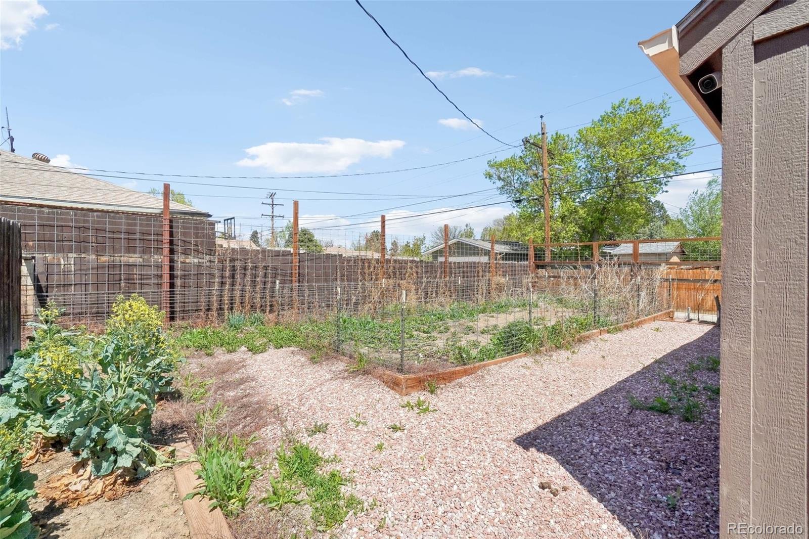 MLS Image #38 for 3580  locust street,denver, Colorado