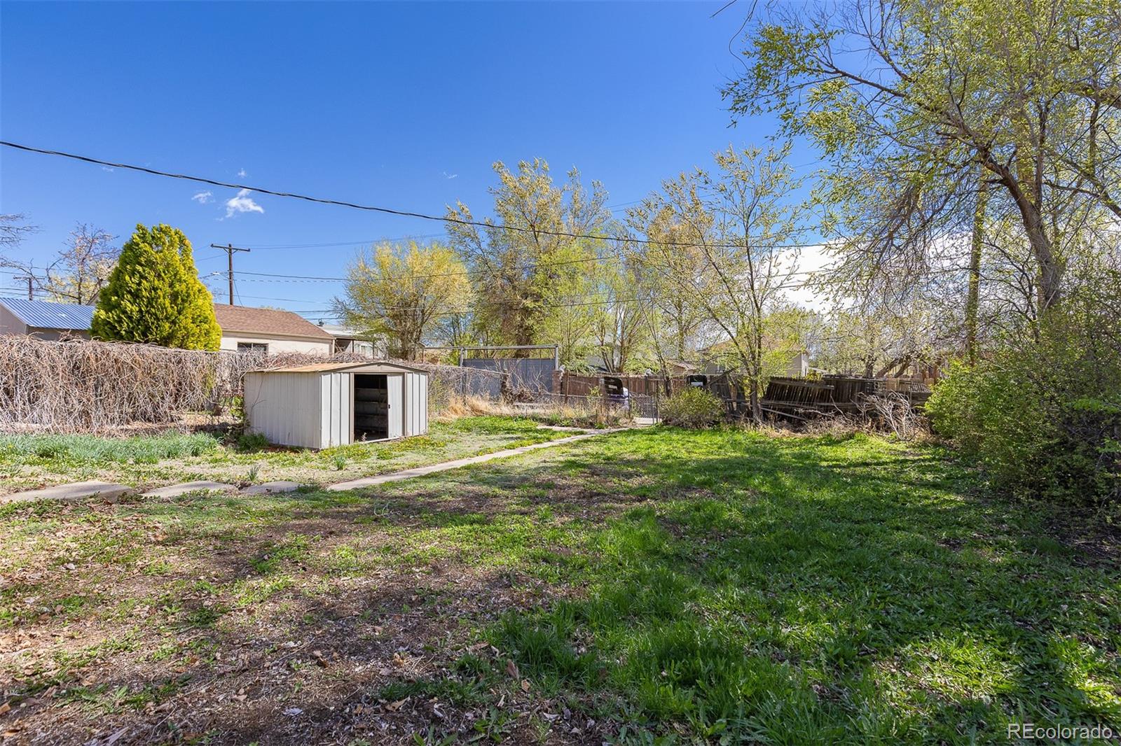 MLS Image #10 for 256  king street,denver, Colorado