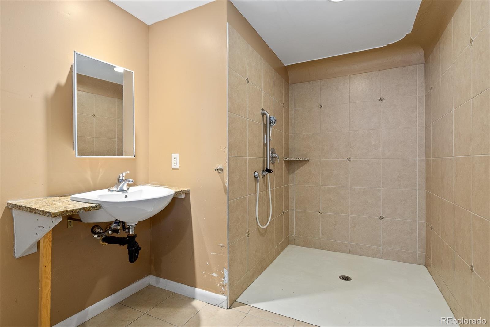 MLS Image #9 for 256  king street,denver, Colorado