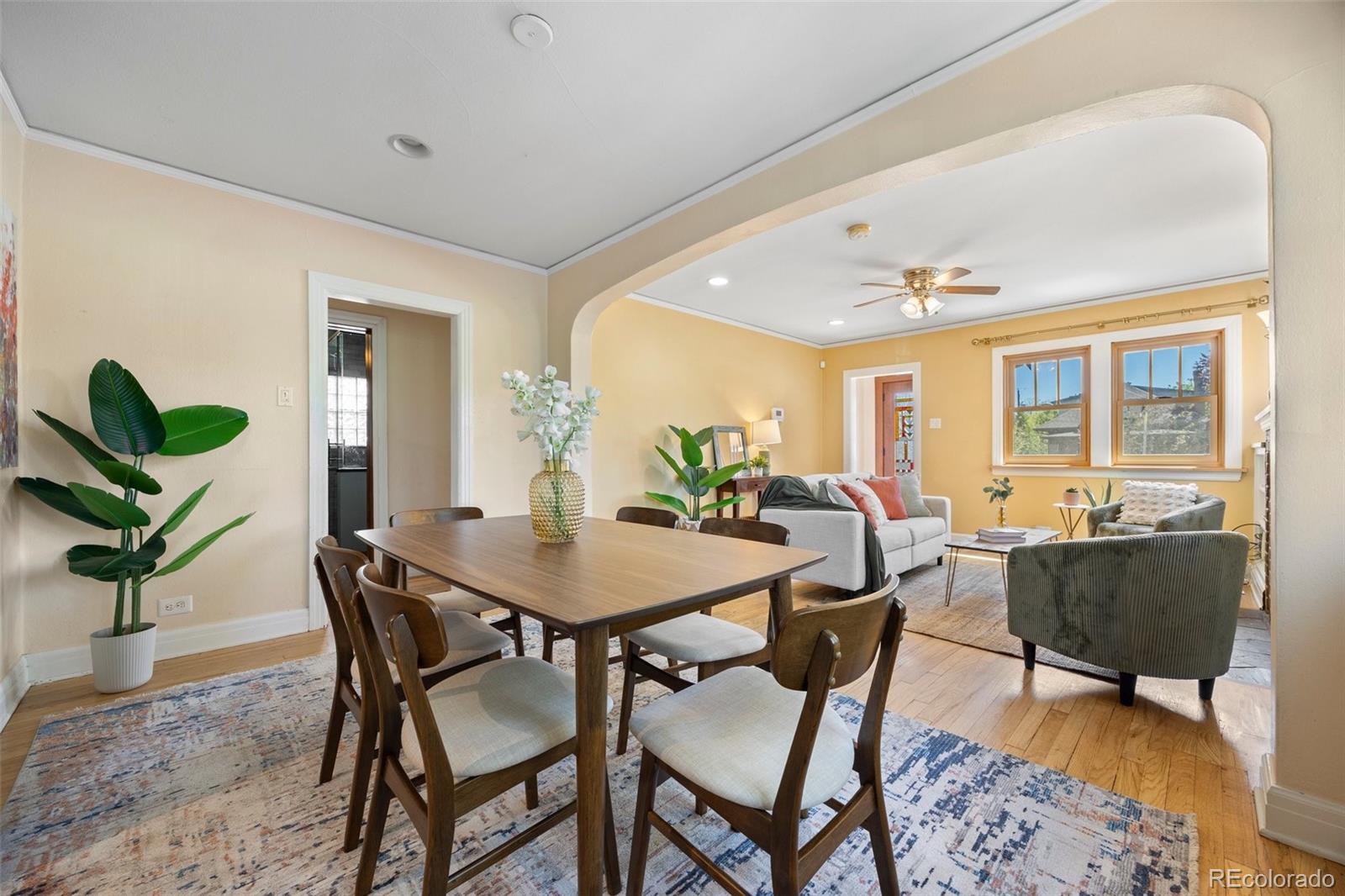 MLS Image #14 for 1601  albion street,denver, Colorado