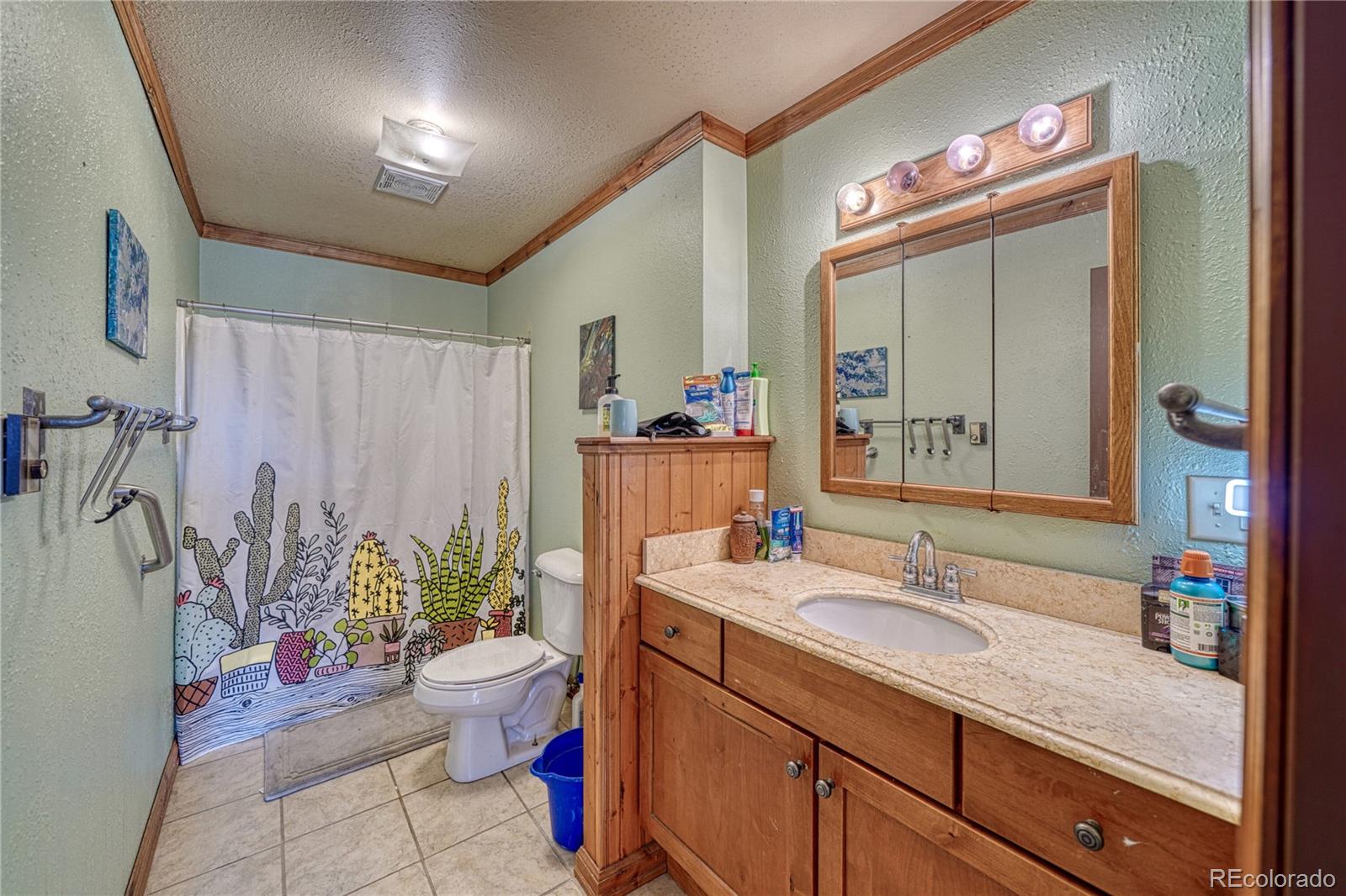 MLS Image #16 for 410 w 16th street,salida, Colorado