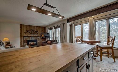 MLS Image #18 for 820  columbine road 10,breckenridge, Colorado