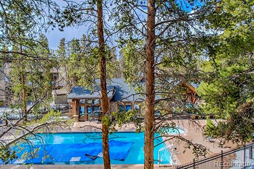MLS Image #28 for 820  columbine road 10,breckenridge, Colorado