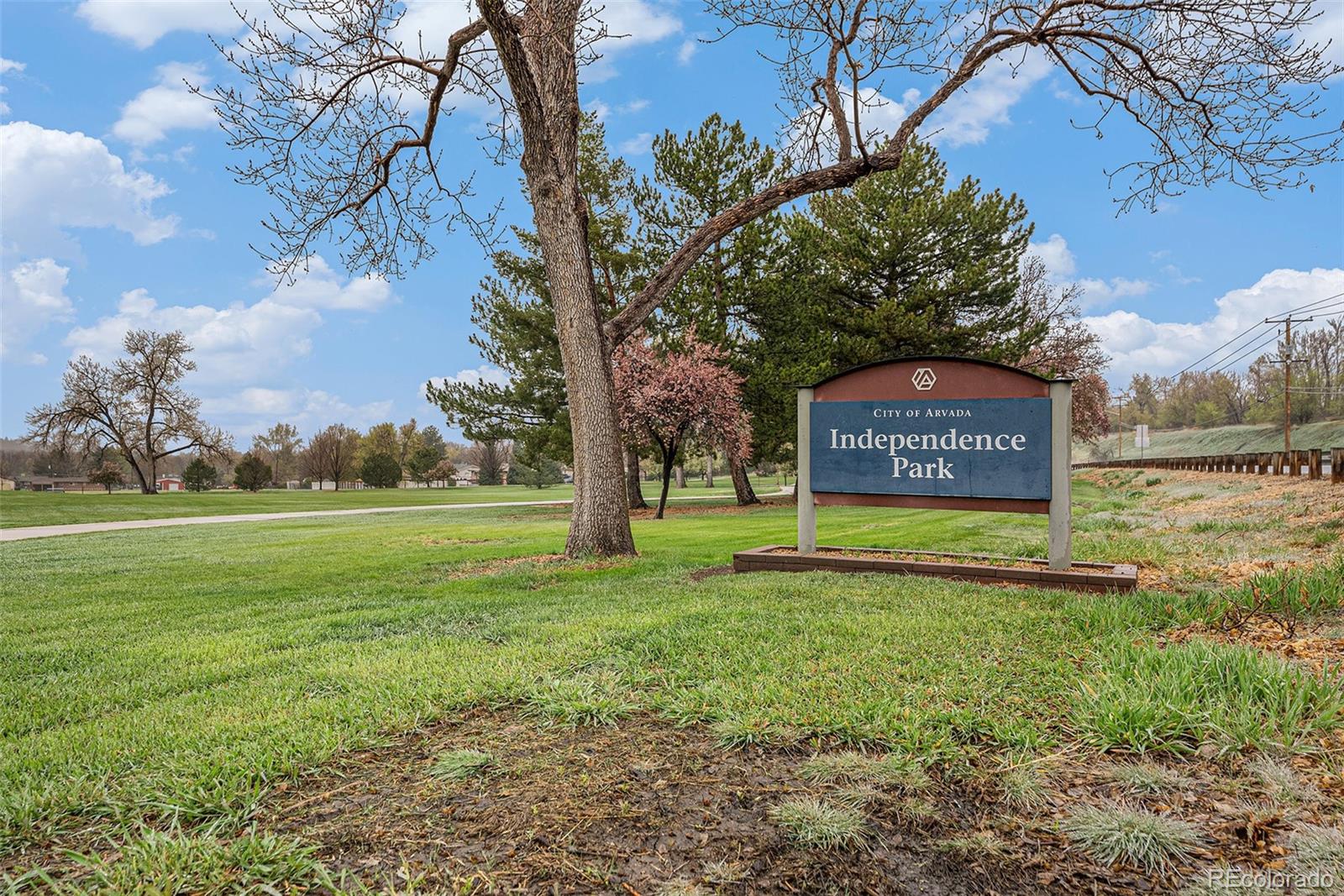 MLS Image #20 for 6613  independence street,arvada, Colorado