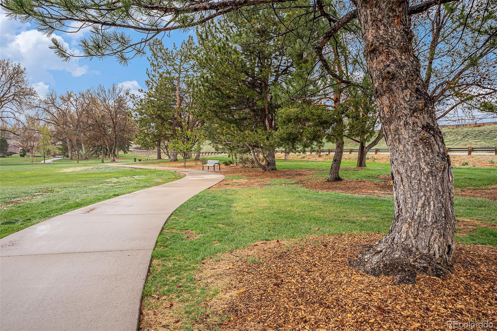 MLS Image #21 for 6613  independence street,arvada, Colorado