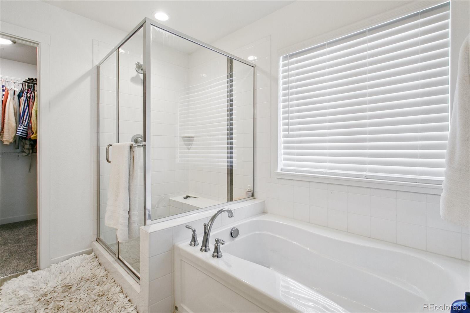 MLS Image #25 for 8059  gilpin peak drive,colorado springs, Colorado