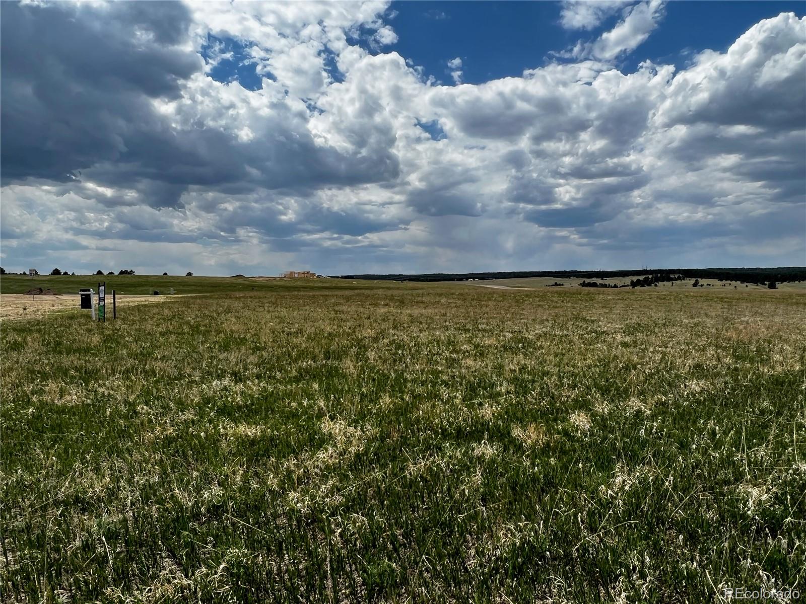 MLS Image #10 for 11970  woodridge terrace,colorado springs, Colorado