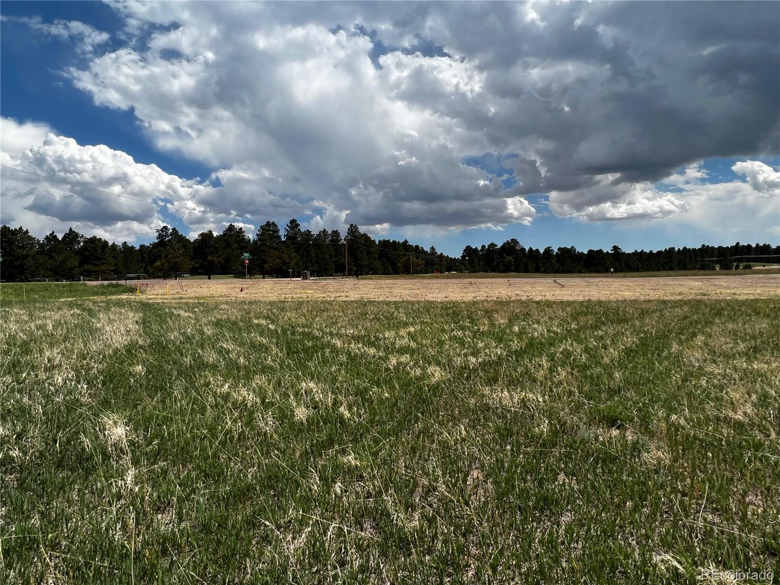 MLS Image #14 for 11970  woodridge terrace,colorado springs, Colorado