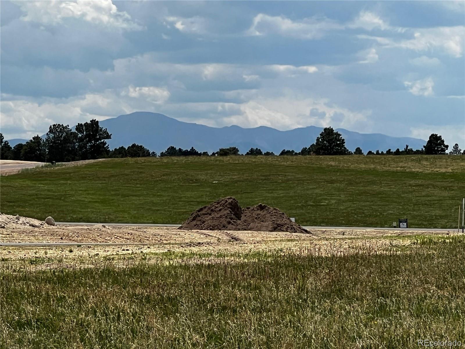 MLS Image #7 for 11970  woodridge terrace,colorado springs, Colorado