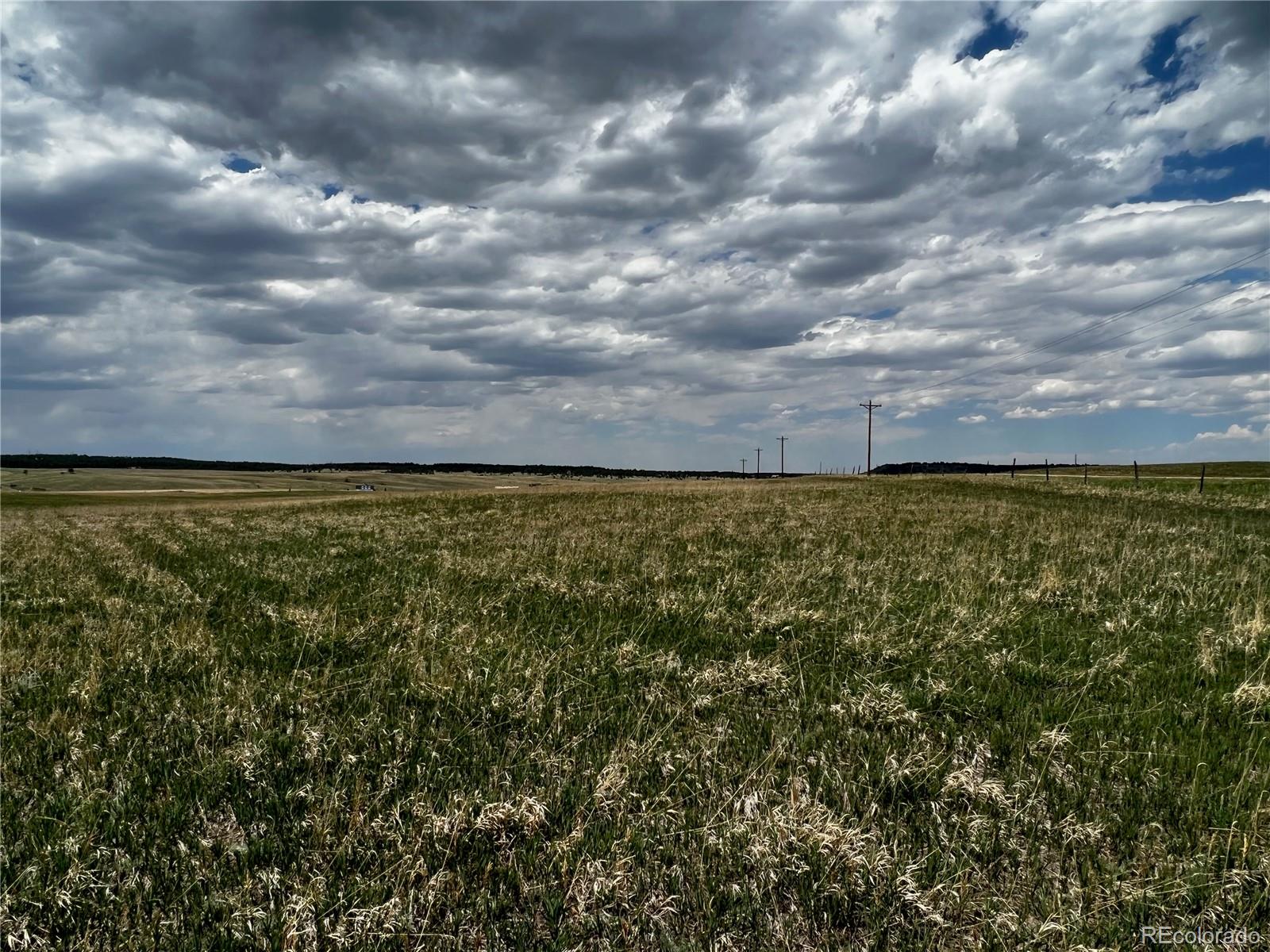 MLS Image #8 for 11970  woodridge terrace,colorado springs, Colorado
