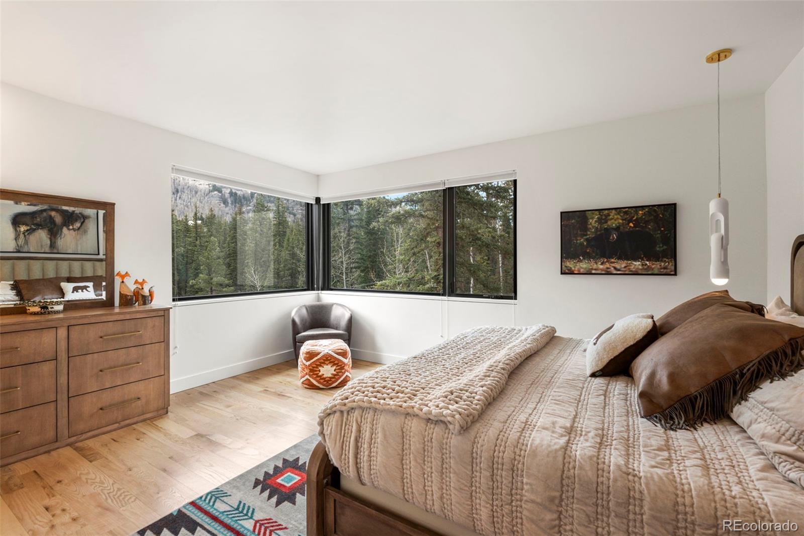 MLS Image #16 for 30  aspen circle,durango, Colorado