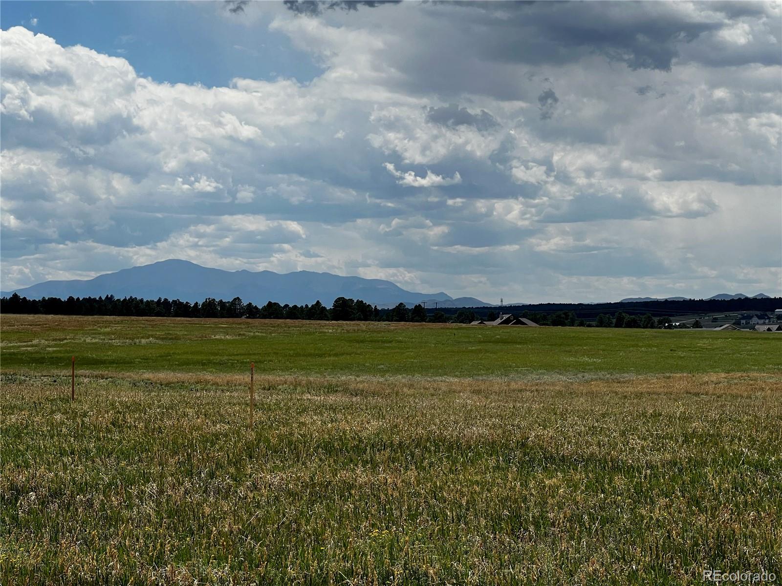 MLS Image #19 for 16990  early light drive,colorado springs, Colorado