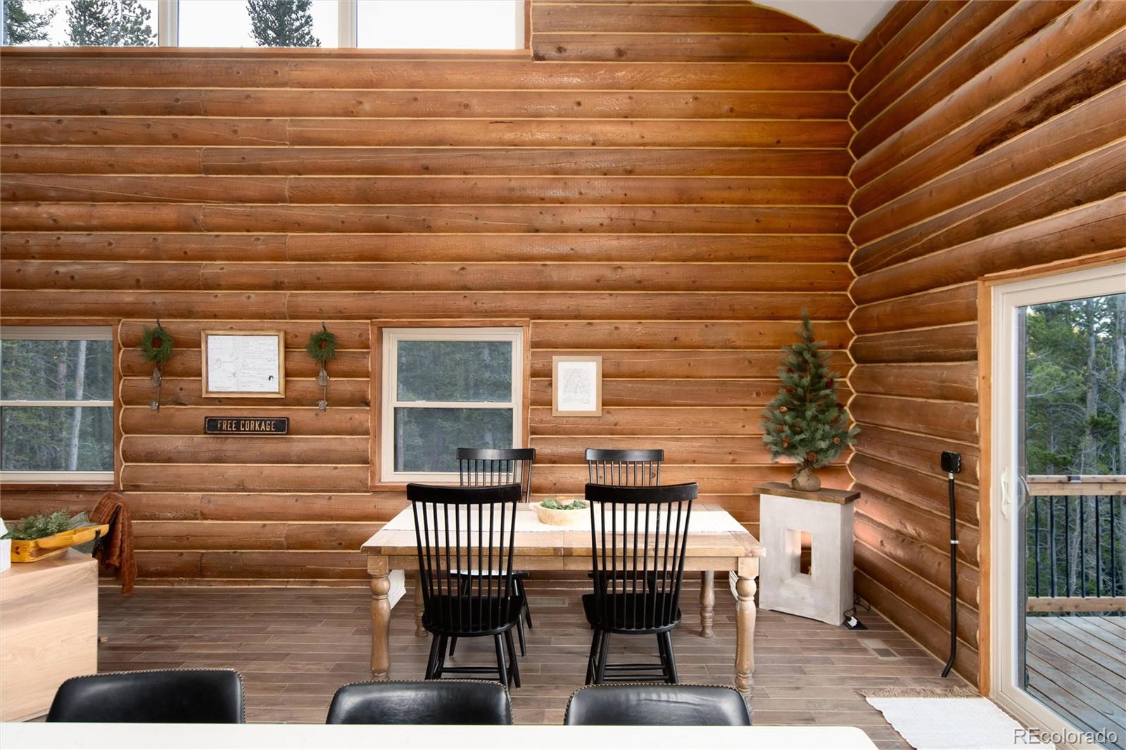 MLS Image #14 for 57  overlook court,idaho springs, Colorado