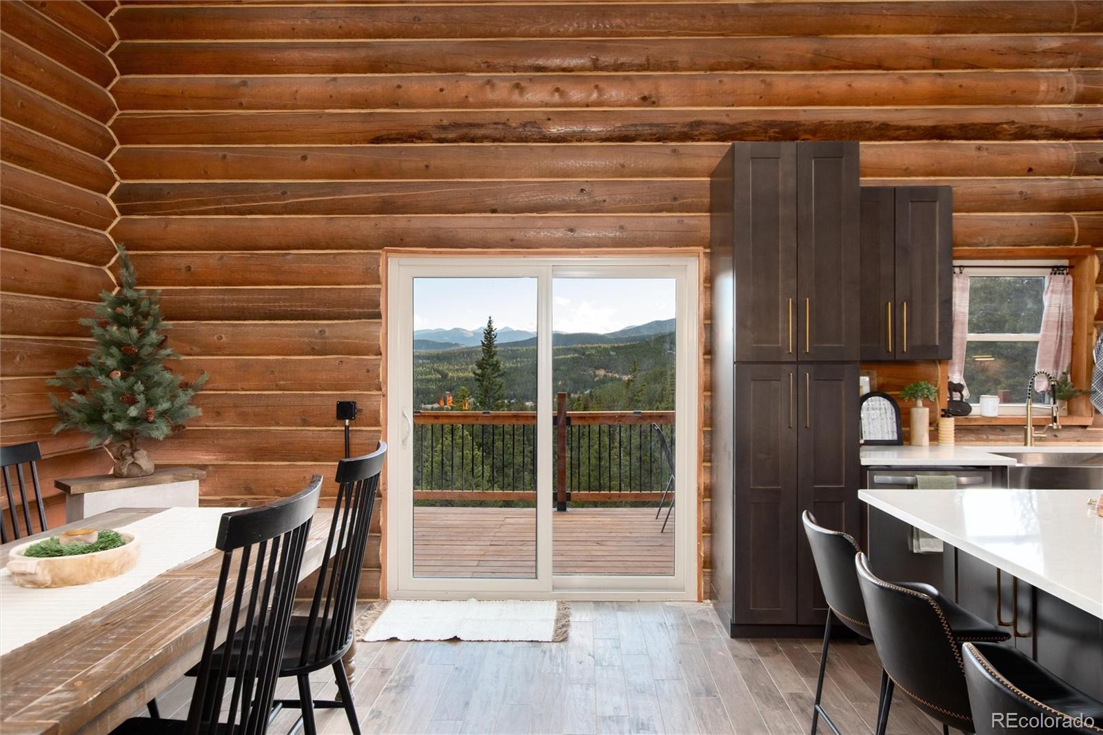 MLS Image #15 for 57  overlook court,idaho springs, Colorado