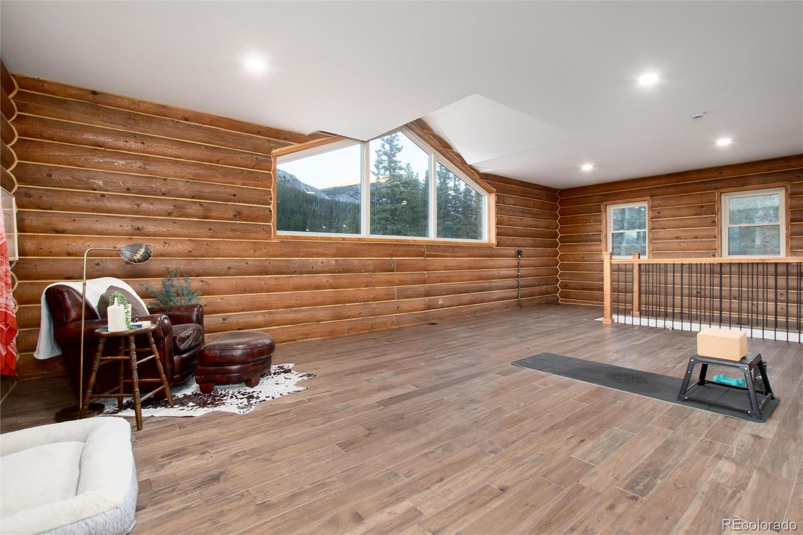 MLS Image #16 for 57  overlook court,idaho springs, Colorado