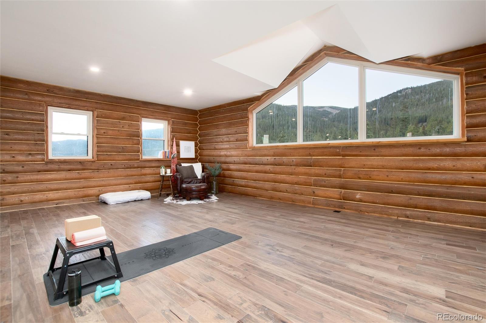 MLS Image #17 for 57  overlook court,idaho springs, Colorado