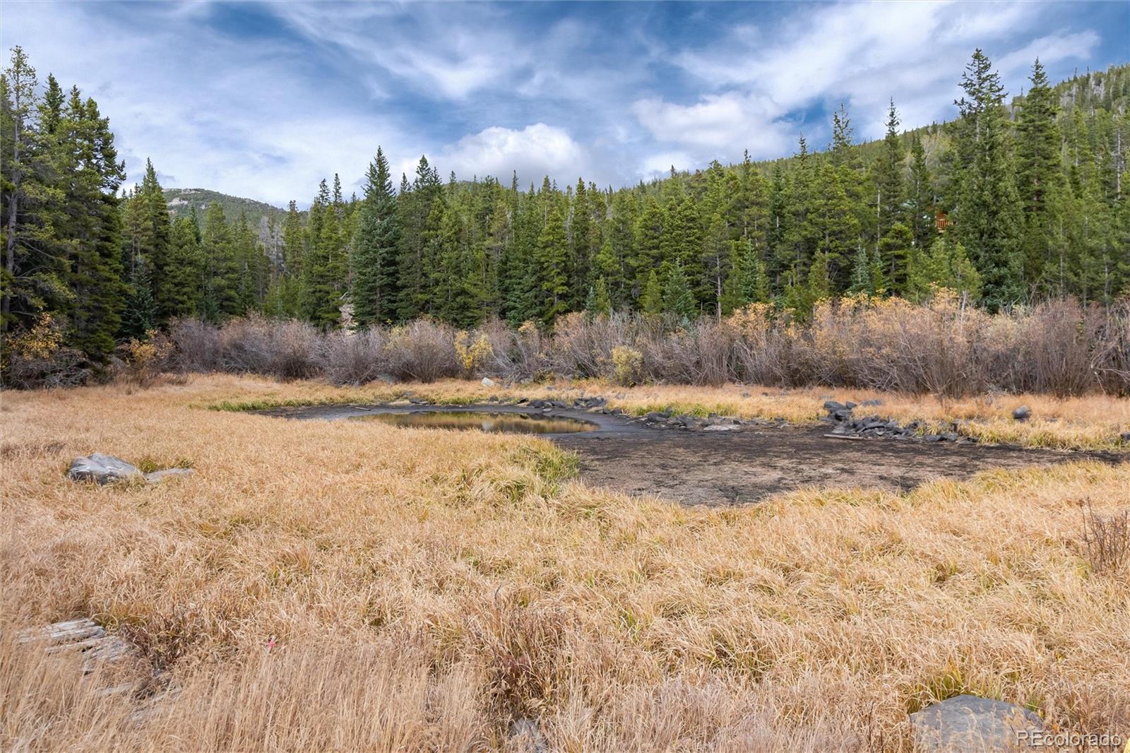 MLS Image #38 for 57  overlook court,idaho springs, Colorado