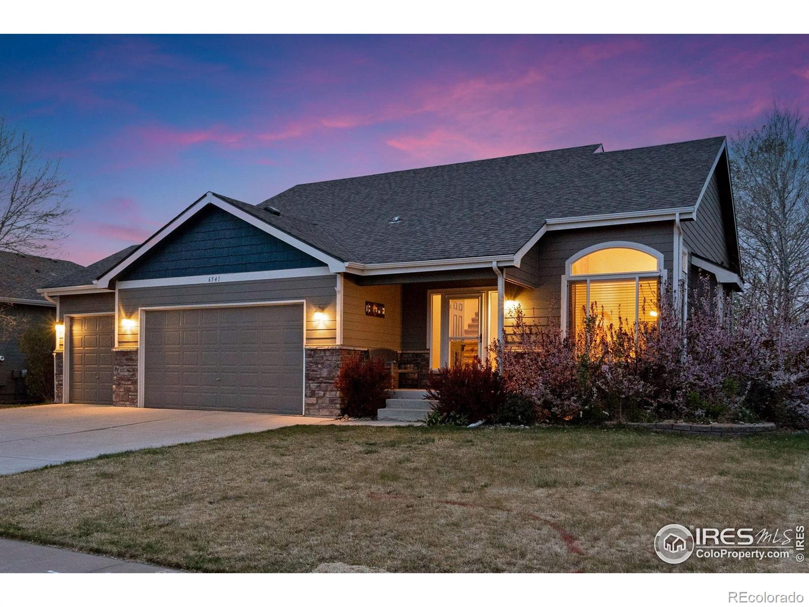 MLS Image #0 for 6541  cranesbill street,wellington, Colorado