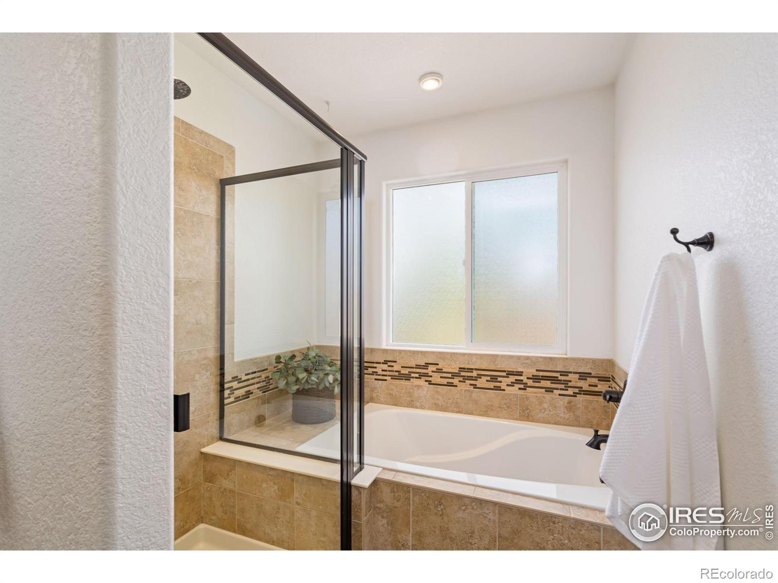 MLS Image #16 for 6541  cranesbill street,wellington, Colorado