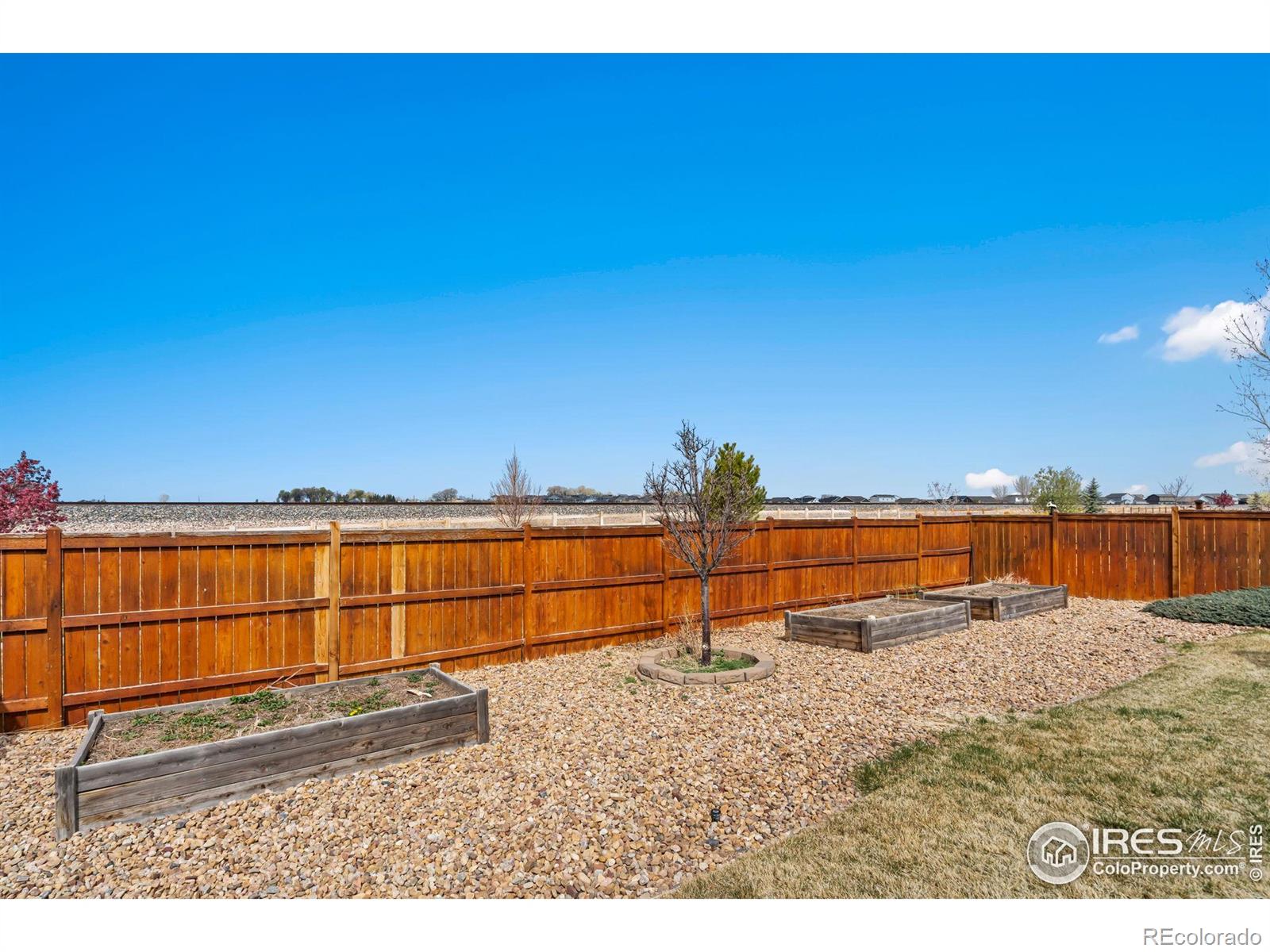 MLS Image #34 for 6541  cranesbill street,wellington, Colorado