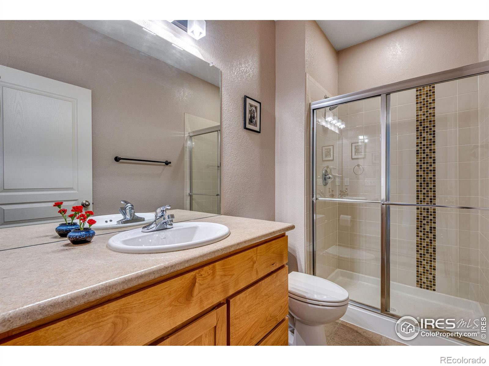 MLS Image #26 for 1038  village circle,erie, Colorado