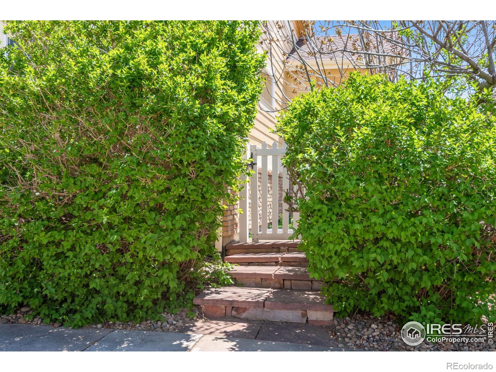 MLS Image #5 for 1038  village circle,erie, Colorado