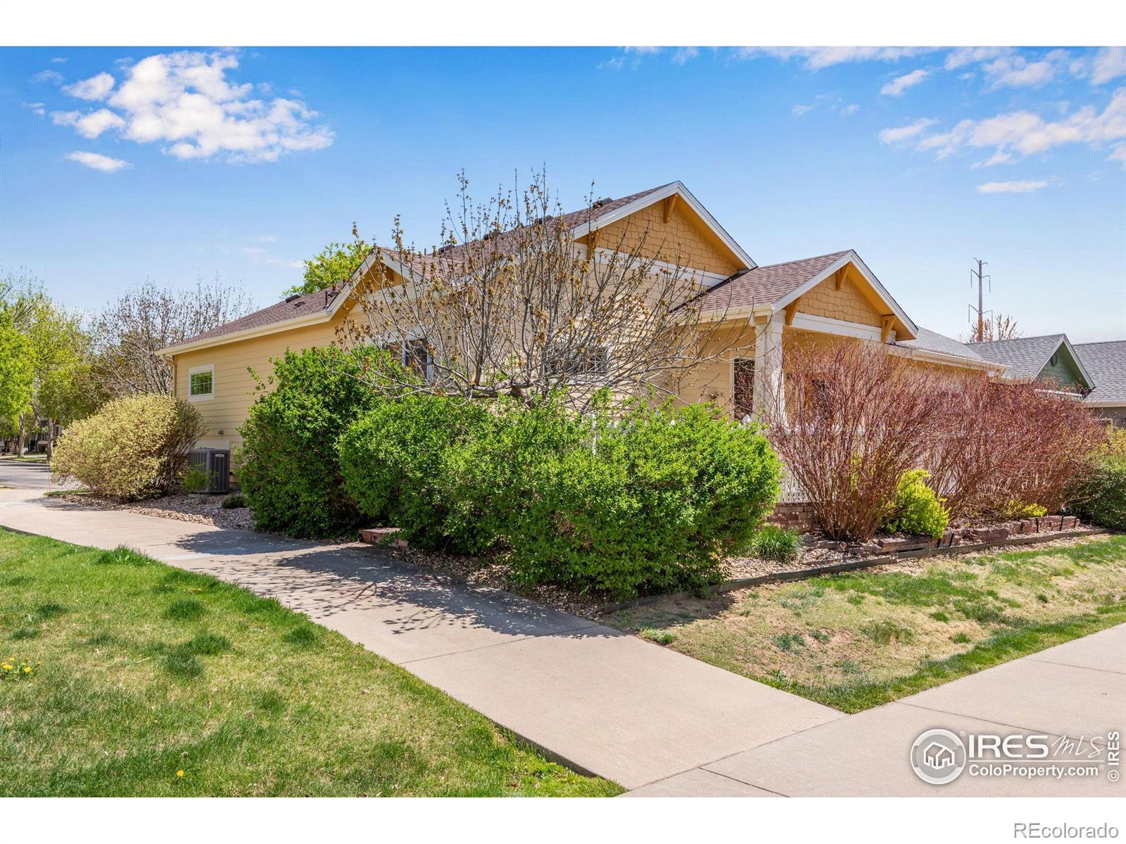 MLS Image #6 for 1038  village circle,erie, Colorado