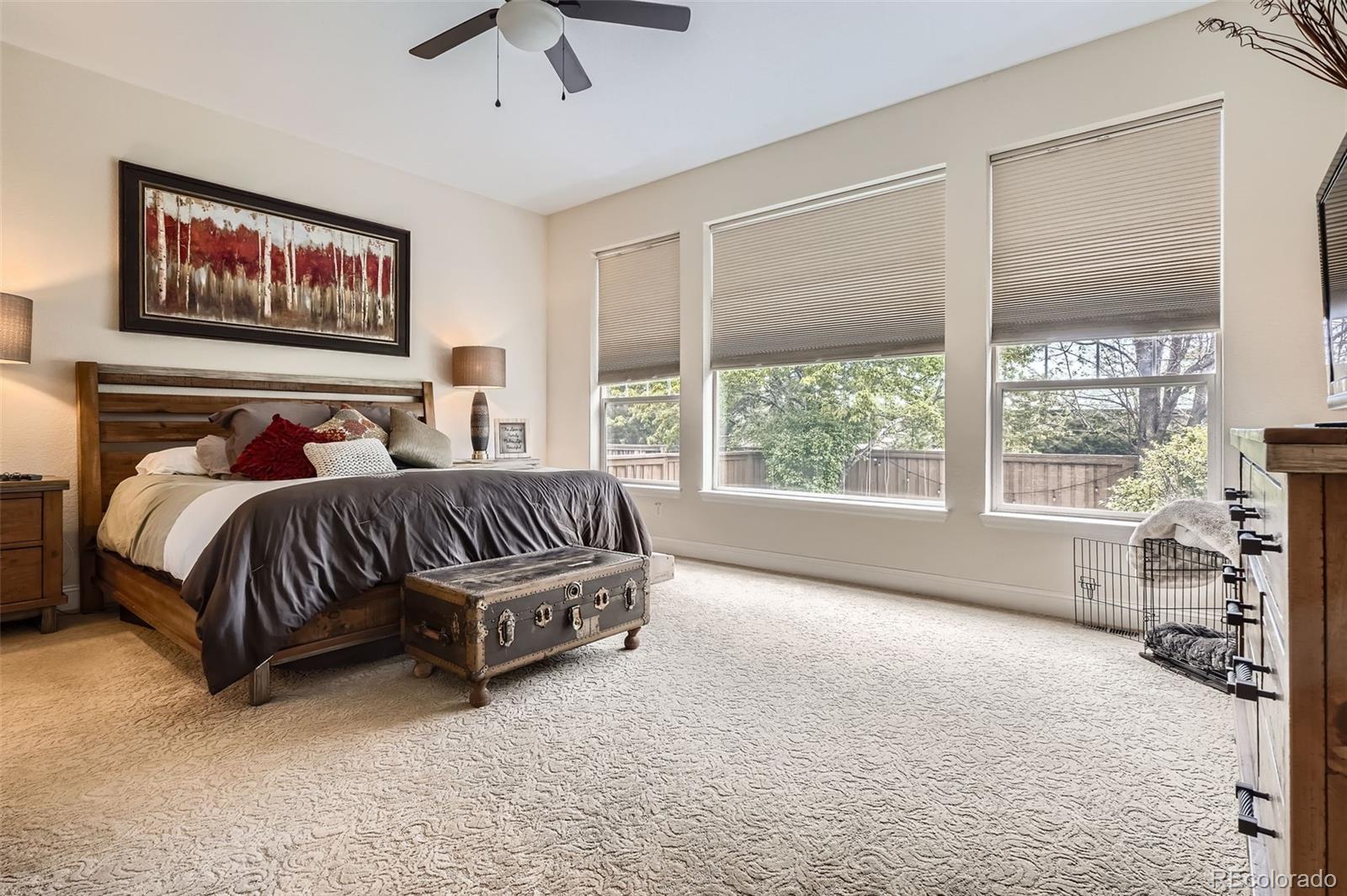 MLS Image #10 for 9724  crowsley court,parker, Colorado