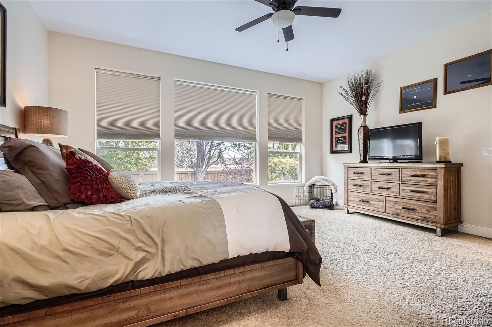 MLS Image #12 for 9724  crowsley court,parker, Colorado