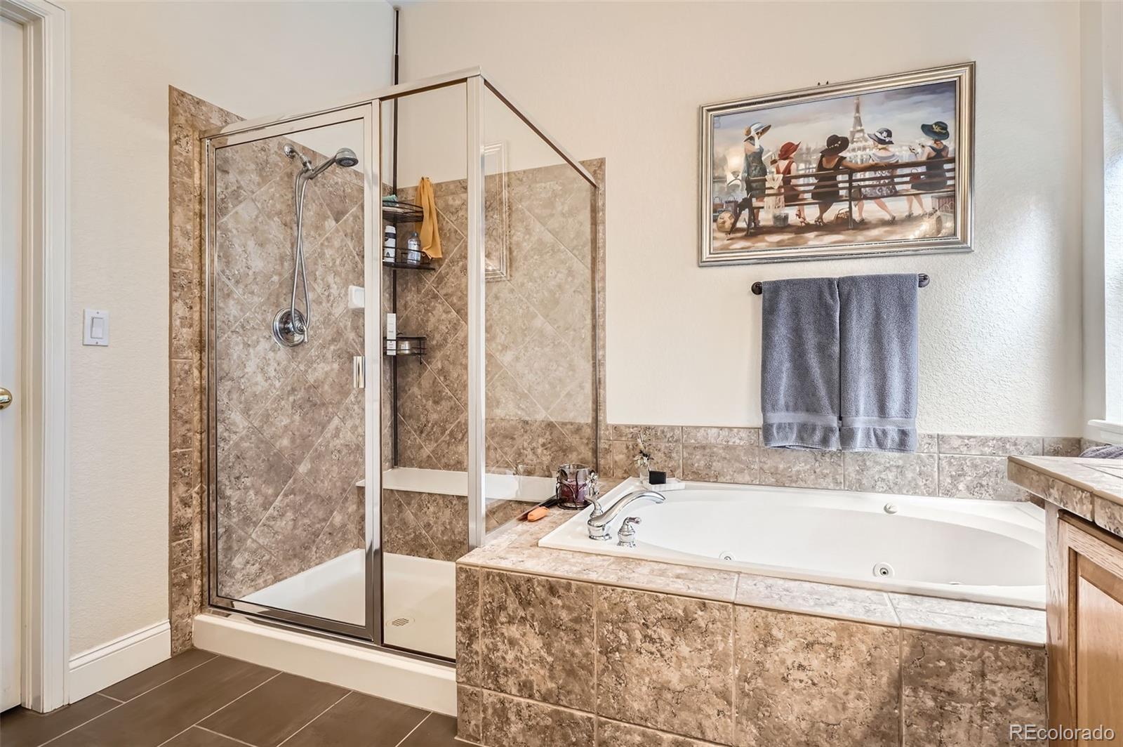 MLS Image #14 for 9724  crowsley court,parker, Colorado