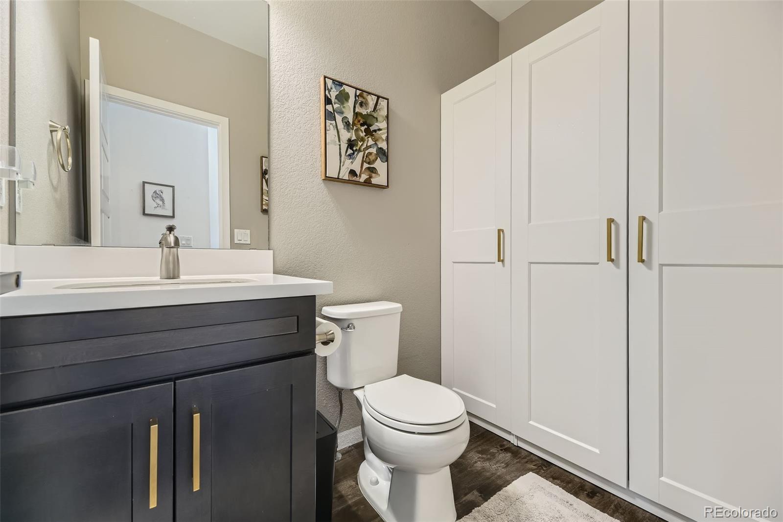 MLS Image #11 for 14315  big stone drive,parker, Colorado