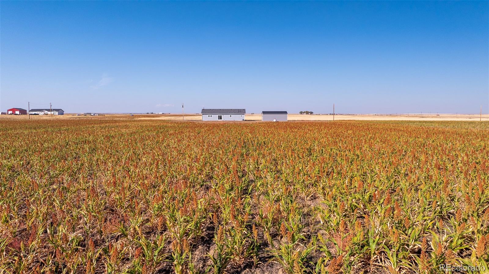 MLS Image #4 for 6  timberlake court,byers, Colorado