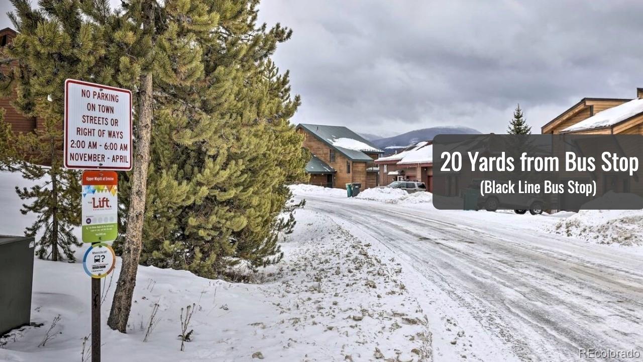 MLS Image #24 for 838b  wapiti drive,fraser, Colorado