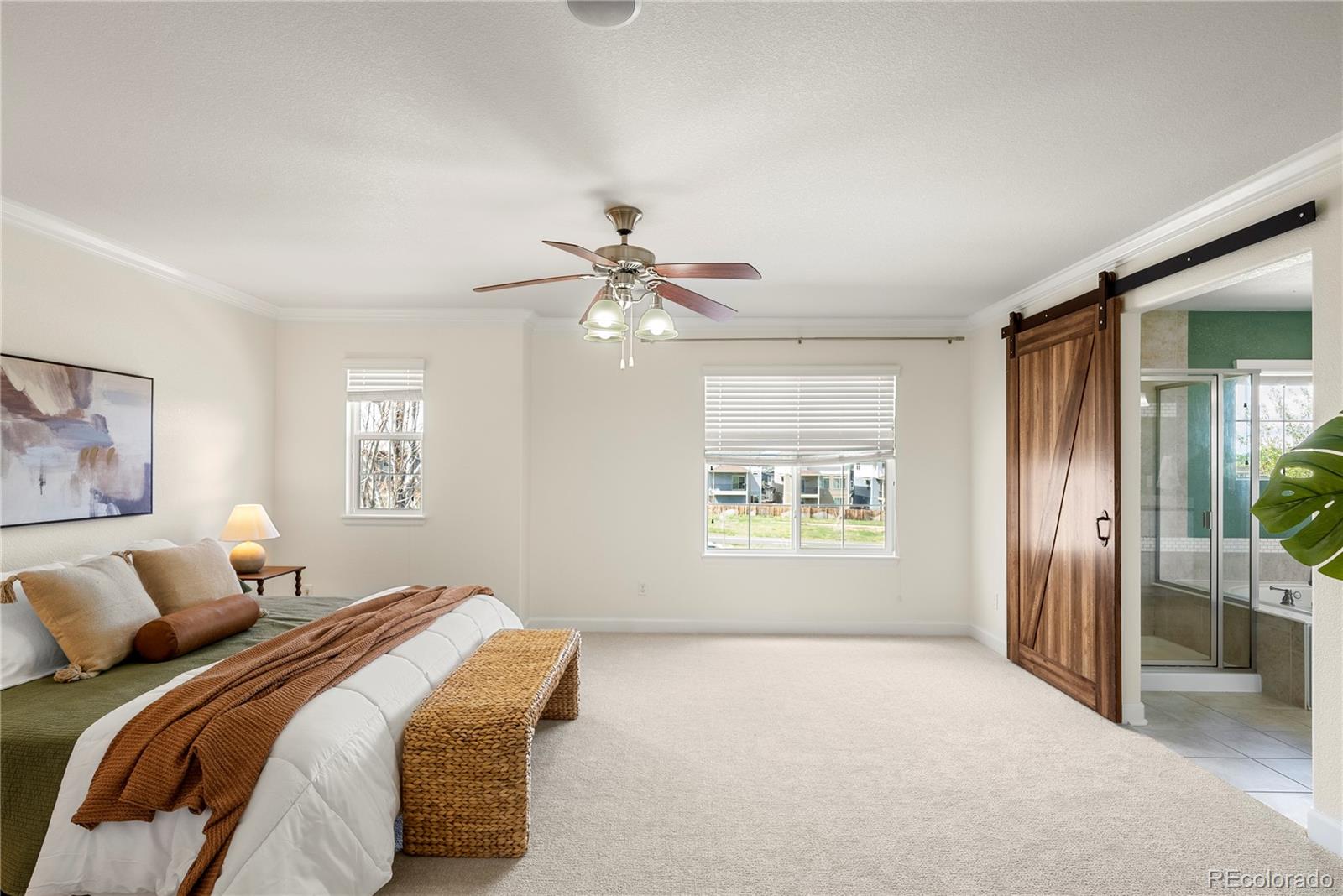 MLS Image #16 for 3116  black canyon way,castle rock, Colorado