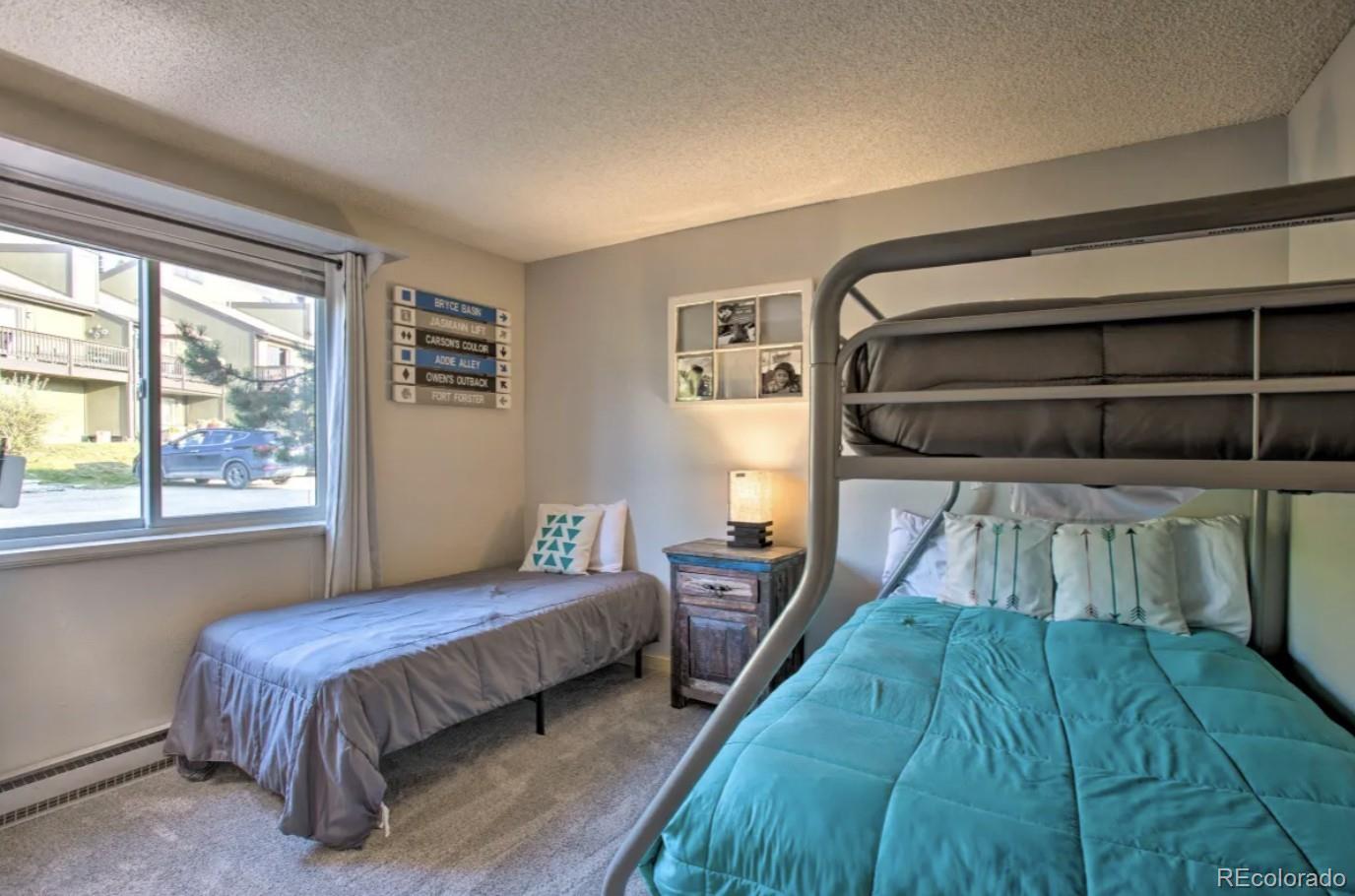 MLS Image #18 for 170  gcr 838 ,fraser, Colorado