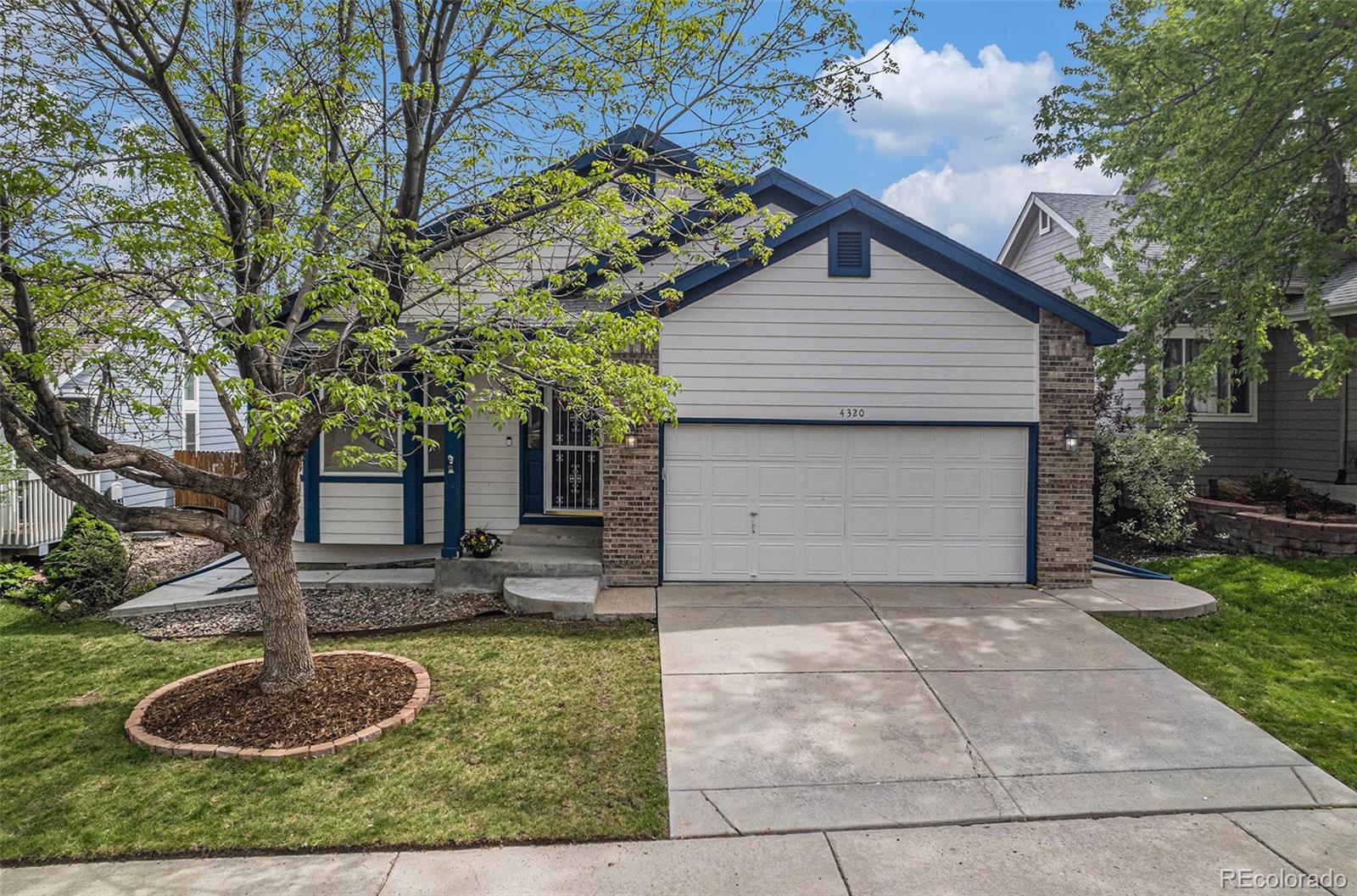 MLS Image #0 for 4320  snowbird avenue,broomfield, Colorado
