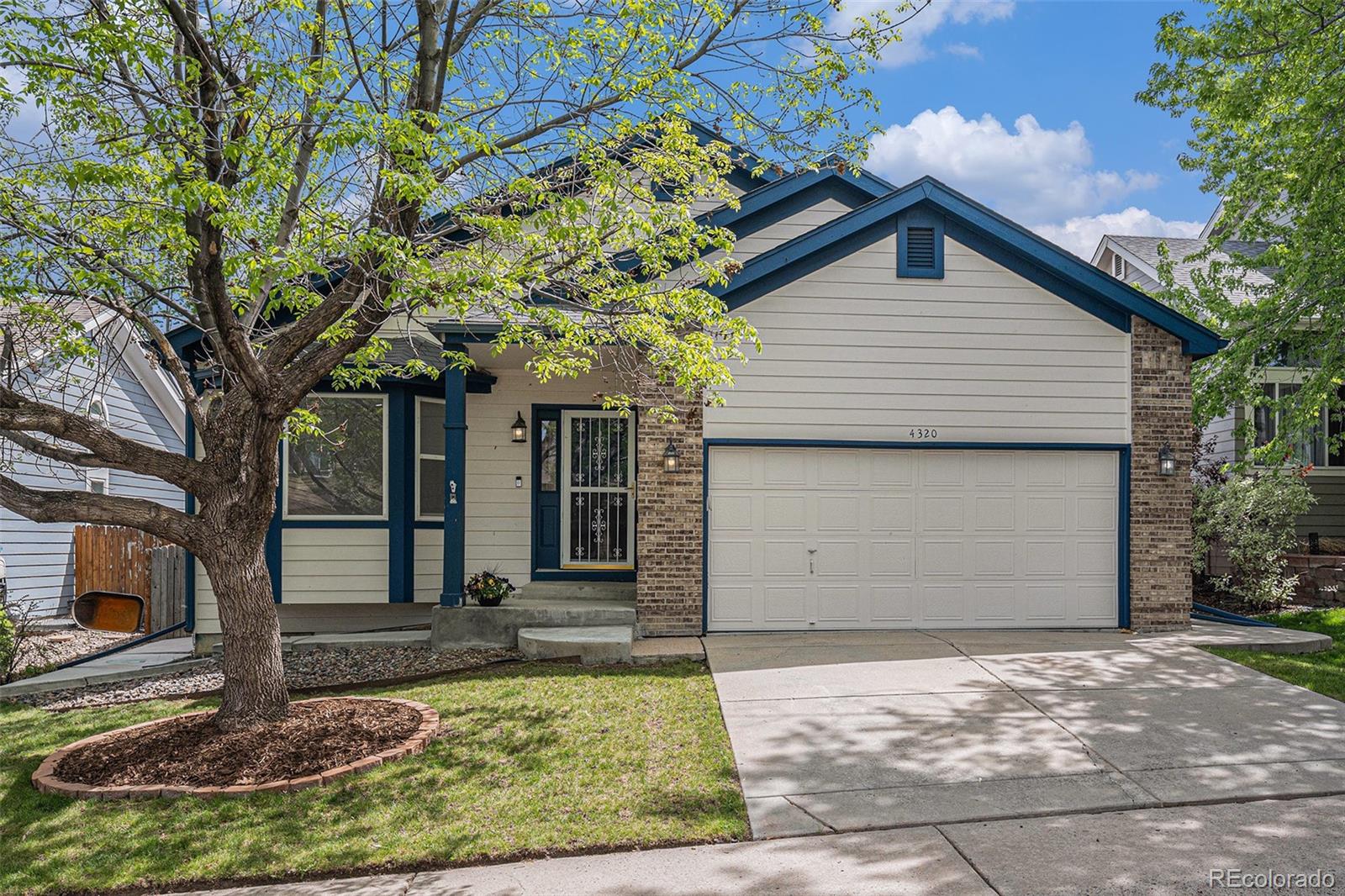 MLS Image #31 for 4320  snowbird avenue,broomfield, Colorado
